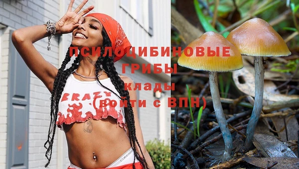 mdma Калининец